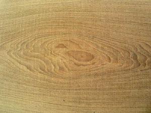 thumbnail-imagegallery/6.jpg